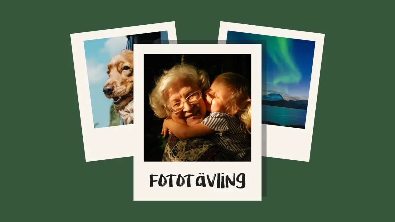 Ett collage av tre polaroidfoton på en mörkgrön bakgrund. Bilden i mitten visar ett barn som kysser en äldre kvinna. Det vänstra fotot visar en hund, och det högra fotot visar ett levande norrsken över en vattenmassa. Bildtexten lyder "FOTOTÄVLING.